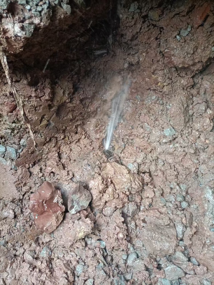 彭阳县本地服务：自来水管漏水检测维修