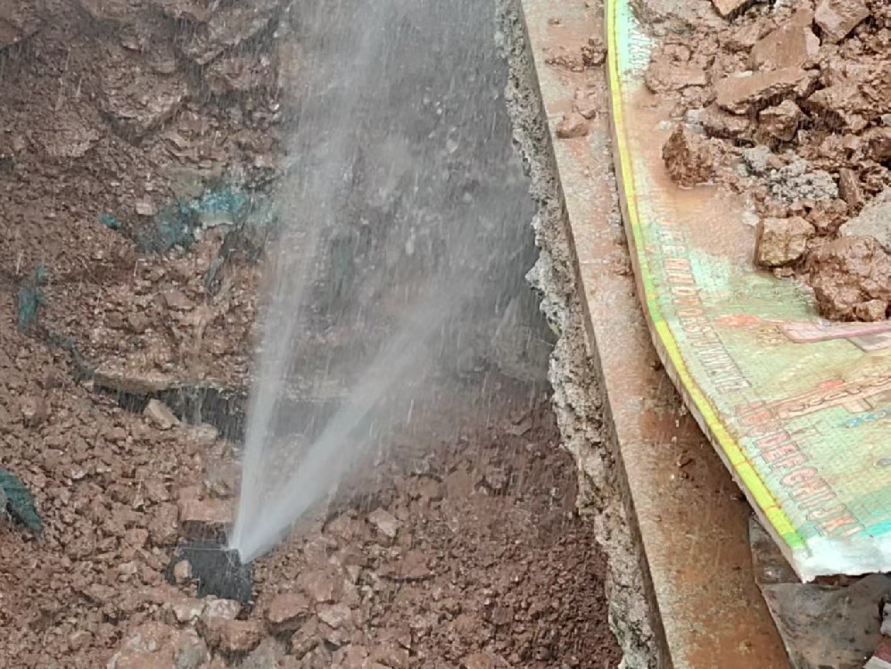消防水管漏水检测定点开挖哪家好-彭阳